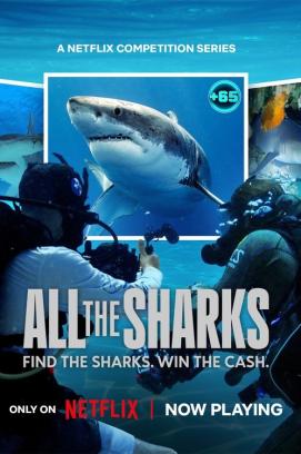 All the Sharks - Staffel 1 (2025)