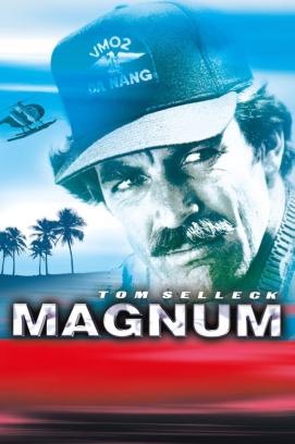 Magnum - Staffel 8 (1980)